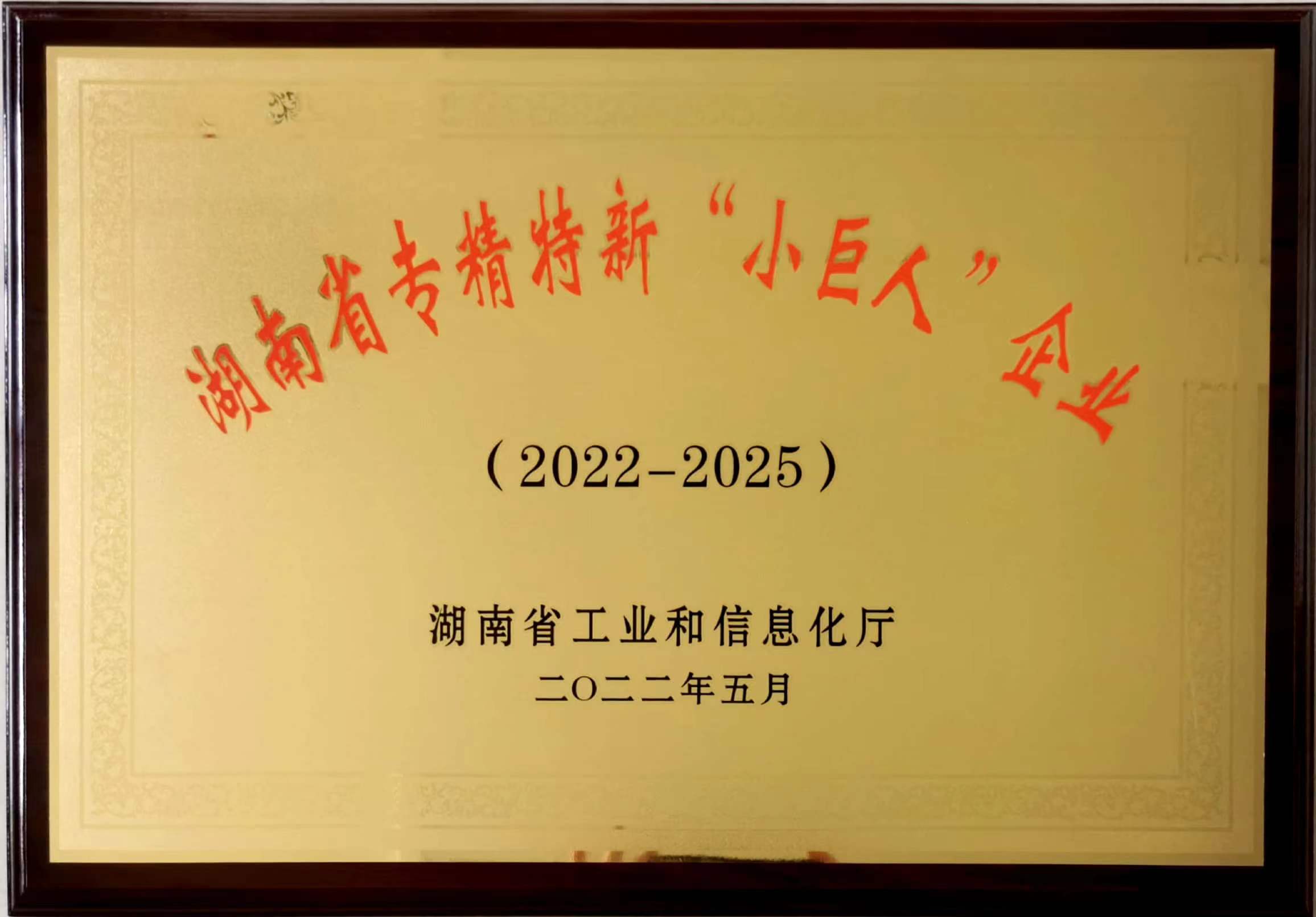 湖南省专精特新“小巨人”企业